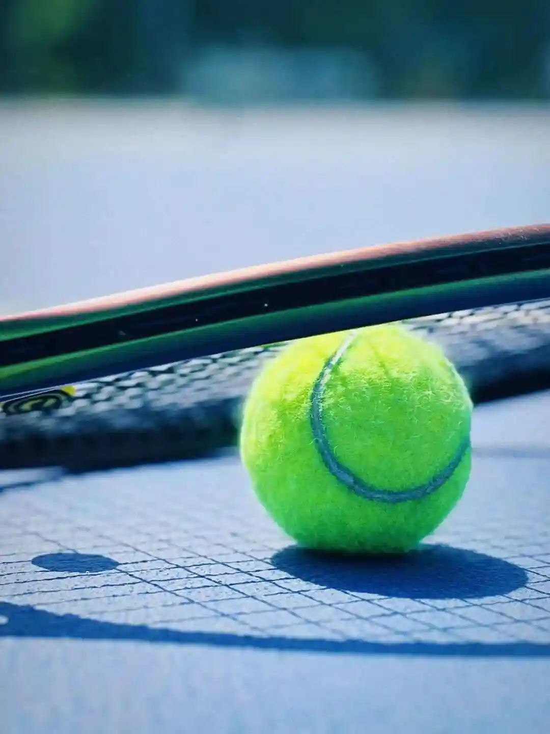 网球联合杯：美国VS波兰