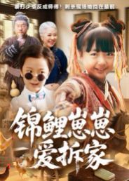 锦鲤崽崽爱拆家