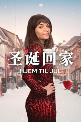 圣诞寻伴 第三季