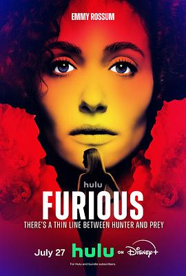 狂怒追缉